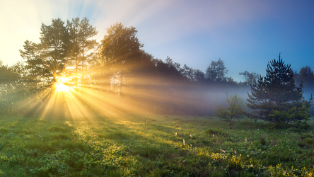 Shutterstock Sun Peek Landscape